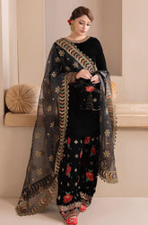 KP577-Embroidered Velvet Dress With Organza embroidered Dopata