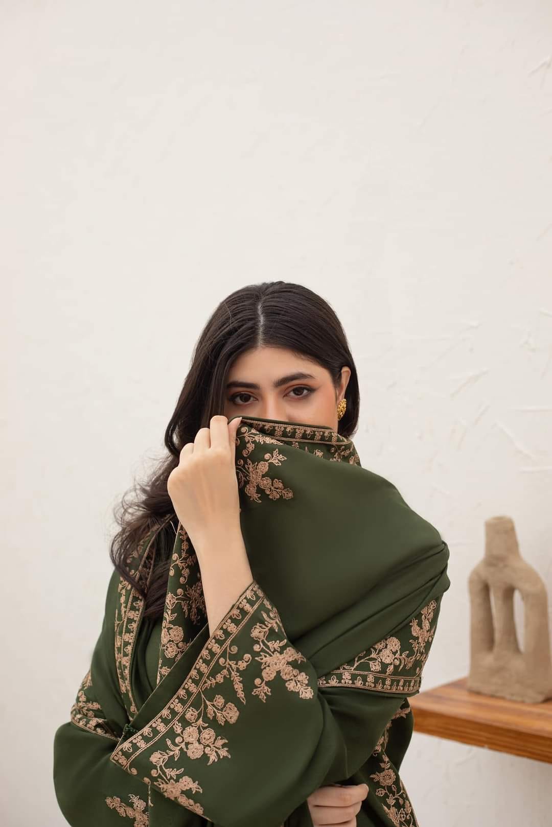 Agha Noor - Winter 3PC Dhanak Embroidered Suit - kp3340